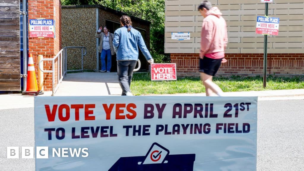 Virginia Democrats Win Redistricting Vote, Could Flip Four House Seats