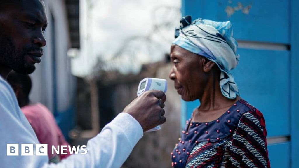 WHO Declares Global Health Emergency as Ebola Spreads Across Borders