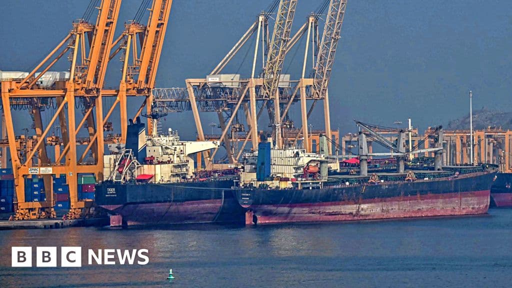 UAE quits OPEC in win for Trump as oil cartel weakened