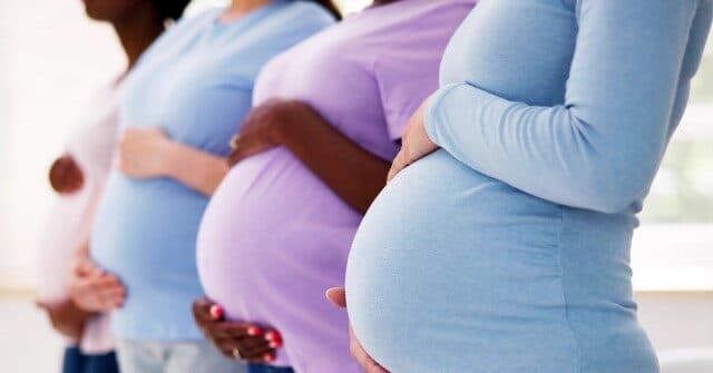 New York Bill Replaces 'Mother' and 'Father' with 'Gestating Parent'