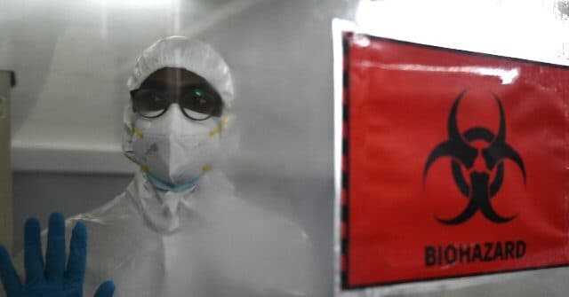 AI Designs New Viruses: Medical Leap or Bioweapon Risk?
