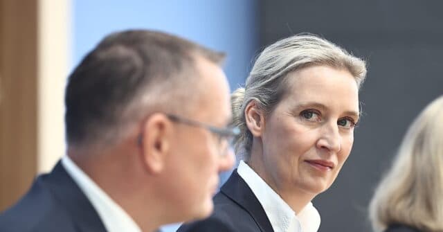 AfD Surges Nationwide as Far-Left Die Linke Wins Berlin, Aided by Muslim Vote