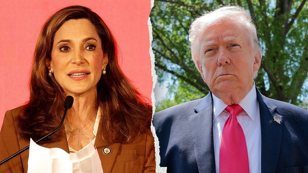 GOP Congresswoman Tells Trump His Deportations 'Have Gone Too Far'
