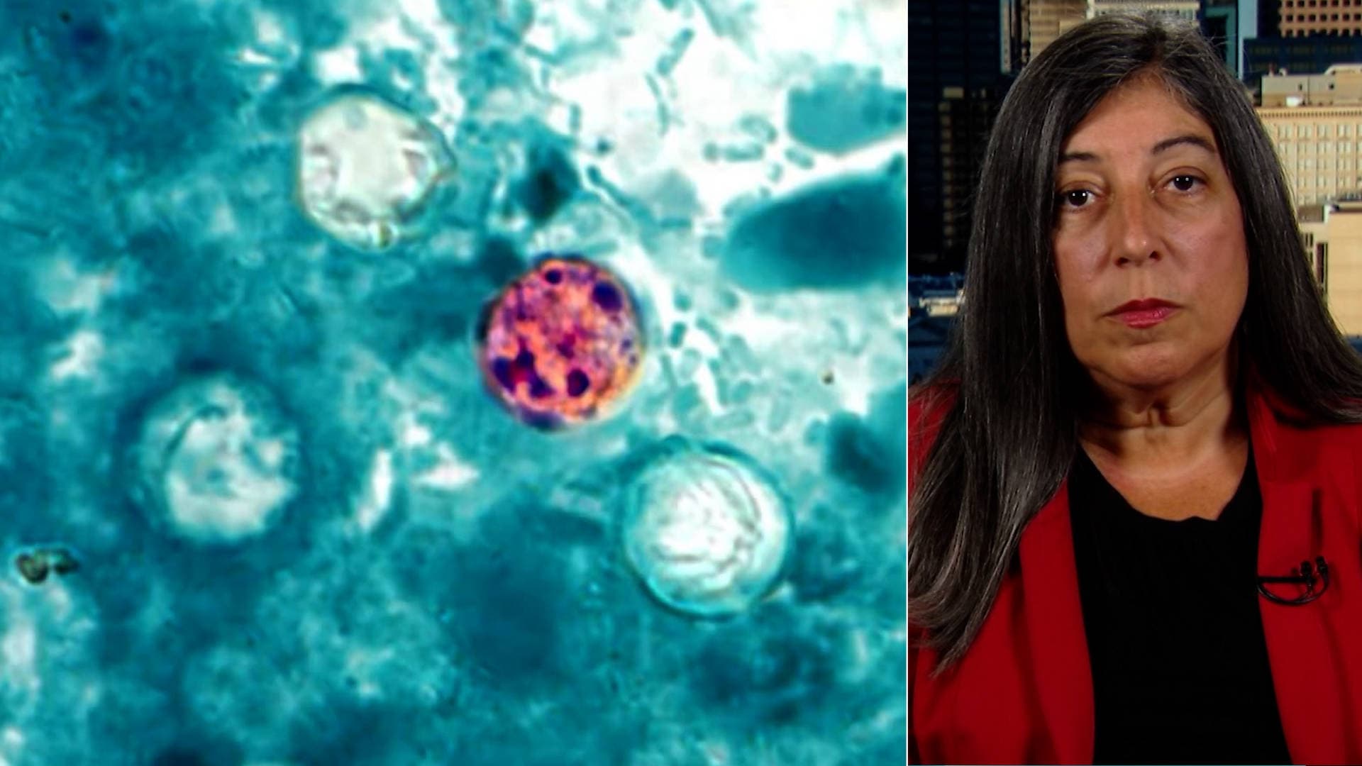 Did Trump's Health Cuts Fuel Worst Cyclospora Outbreak on Record?